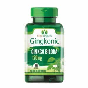 Gingkonic 120mg